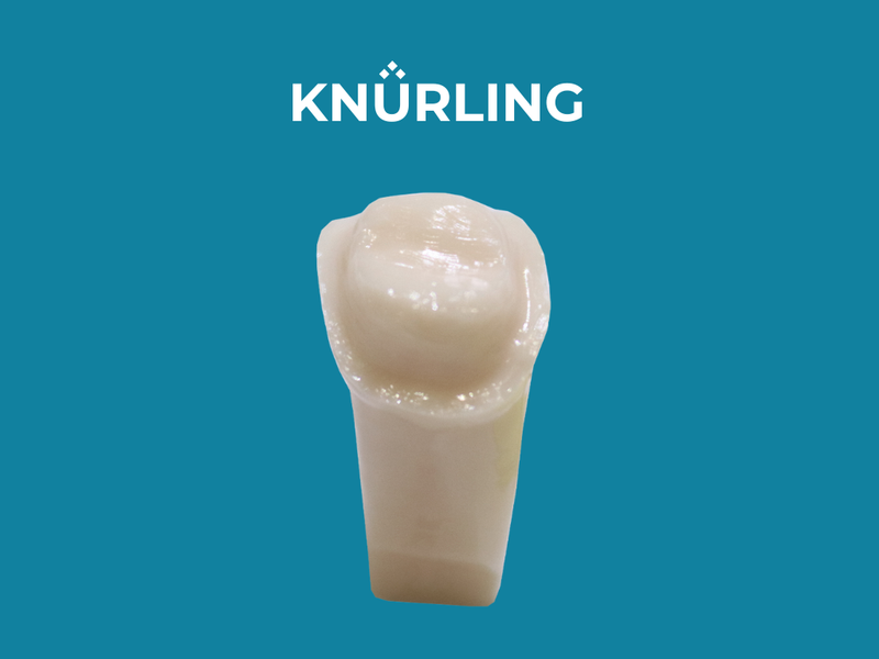 Kilgore A21AN-700 – Pre-prepared Teeth