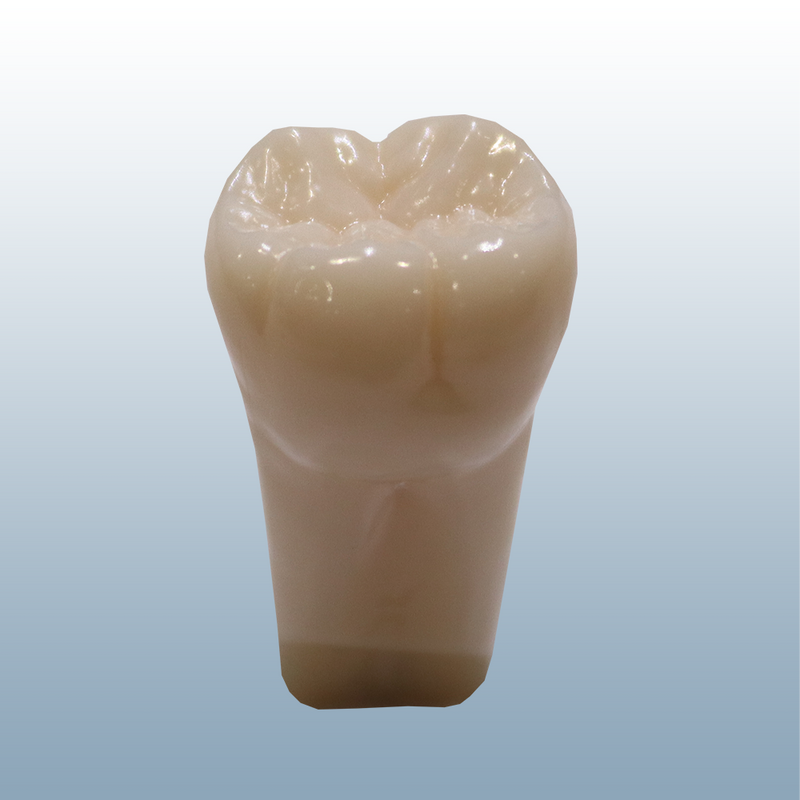 700 Series  Replacment Teeth (NDECC)