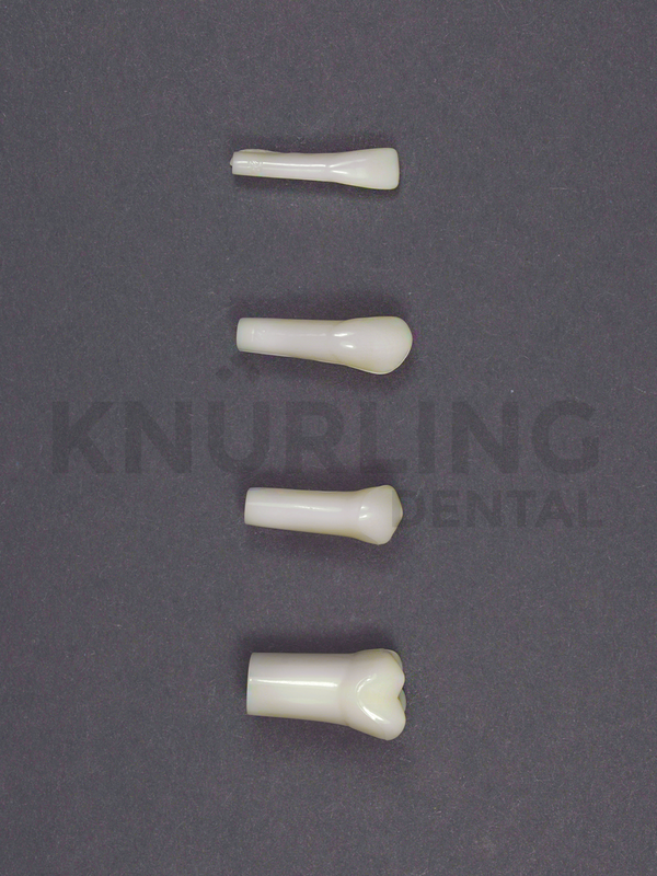 A5AN-200 – Individual Permanent Replacement Teeth